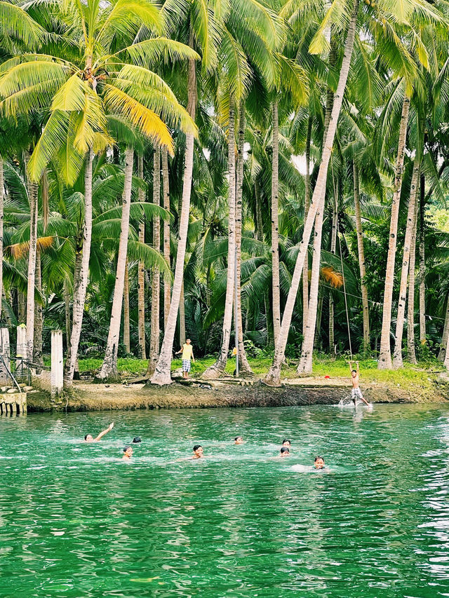 Have you tried eating a buffet while cruising in a Jungle River?