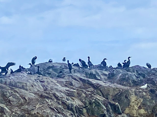 Slow Travel Vibes – Ushuaia