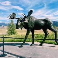 🚗 Grand Teton National Park: Transportation & Road Trip Tips 🏞️