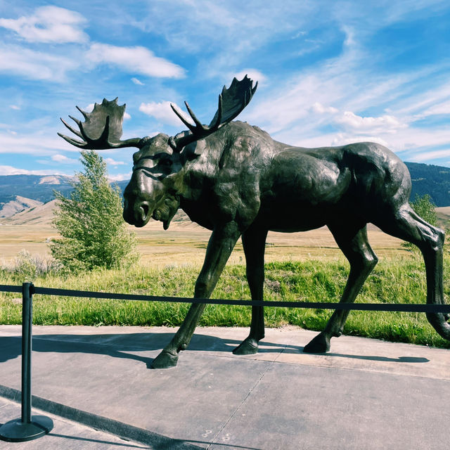 🚗 Grand Teton National Park: Transportation & Road Trip Tips 🏞️