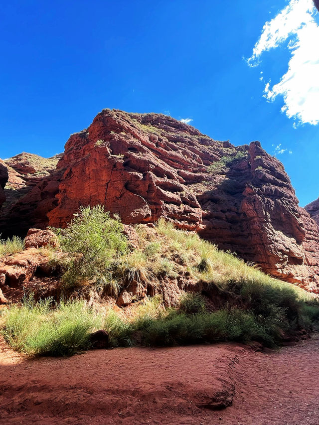 🏜️ China’s Secret Grand Canyon – Silk Road Scenery That’ll Take Your Breath Away