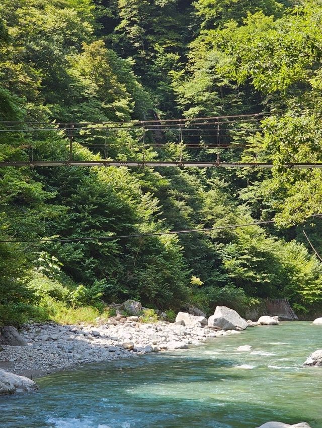 ⛰️ Kurobe Day Trip: What to See and How to Get There from Toyama