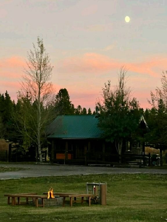 Discover Yellowstone National Park: Adventure, Scenery & A Hidden Gem for the Perfect Stay!