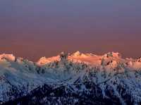 Hurricane Ridge: A hiking trail paradise in Washington!