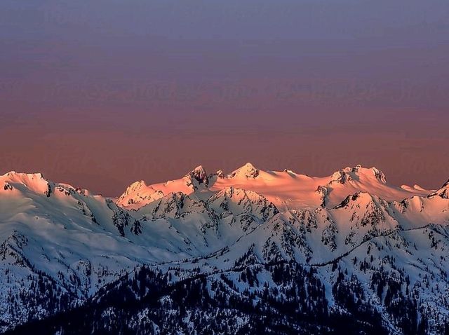 Hurricane Ridge: A hiking trail paradise in Washington!