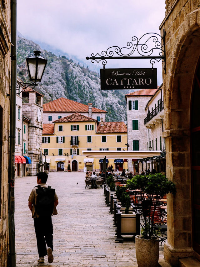 🚗💸 Ride Sharing Around Montenegro