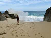 Baja California for Divers – Skip Cabo, Go Deeper 🌊🐠