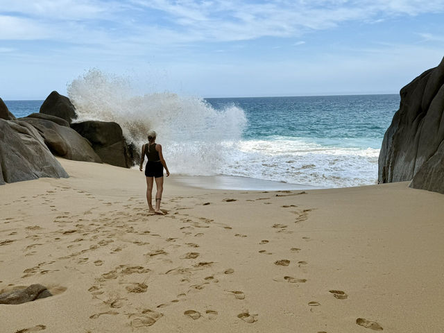 Baja California for Divers – Skip Cabo, Go Deeper 🌊🐠