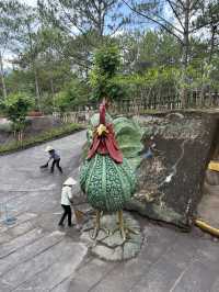 One Night in Da Lat: $100 Style
