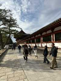 Deer Encounters and Temple Wonders in Nara Park 