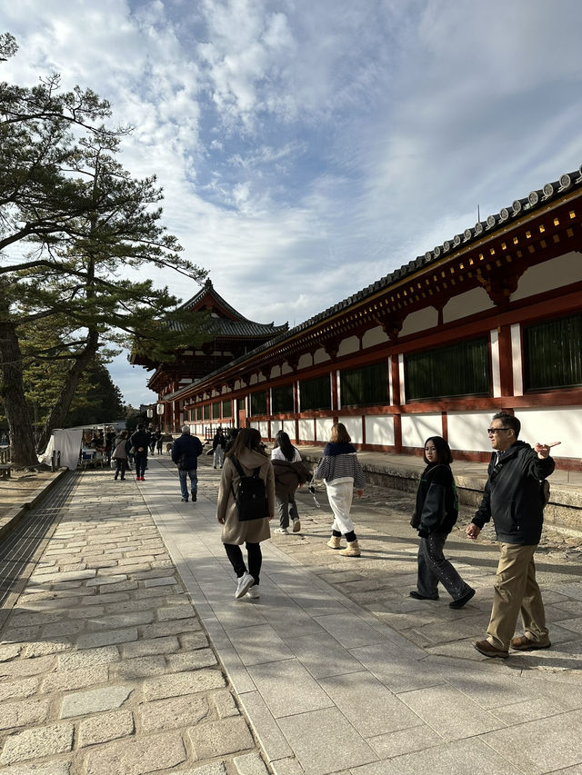 Deer Encounters and Temple Wonders in Nara Park 