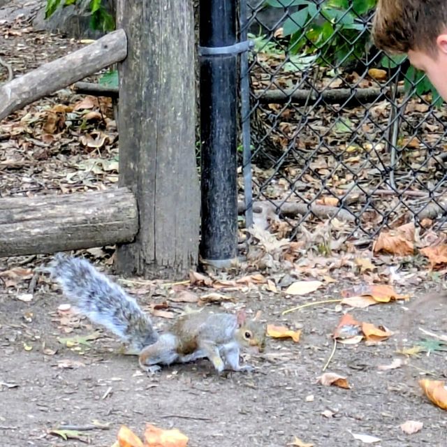 Central Park โ the charming core of the Big Apple ๐๐บ๐ธ Central Park โ the charming core of the Big Apple ๐๐บ๐ธ