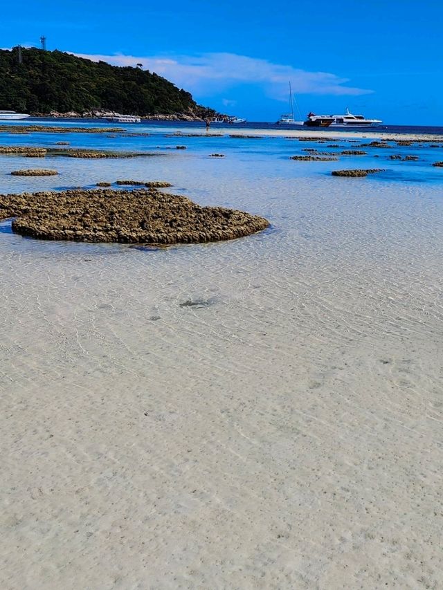 Рай на земле🔥🔥🔥🧳🏝️🧉 Рай на земле🔥🔥🔥🧳🏝️🧉