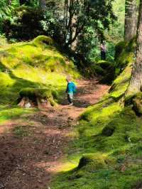 Benmore Botanic Garden, Dunoon – A Forest of Giants and Calm
