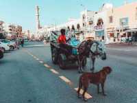 Hurghada – Egypt’s Red Sea Paradise