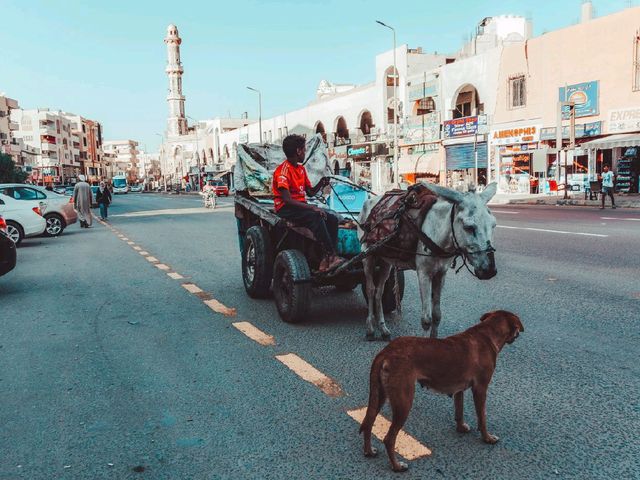 Hurghada – Egypt’s Red Sea Paradise