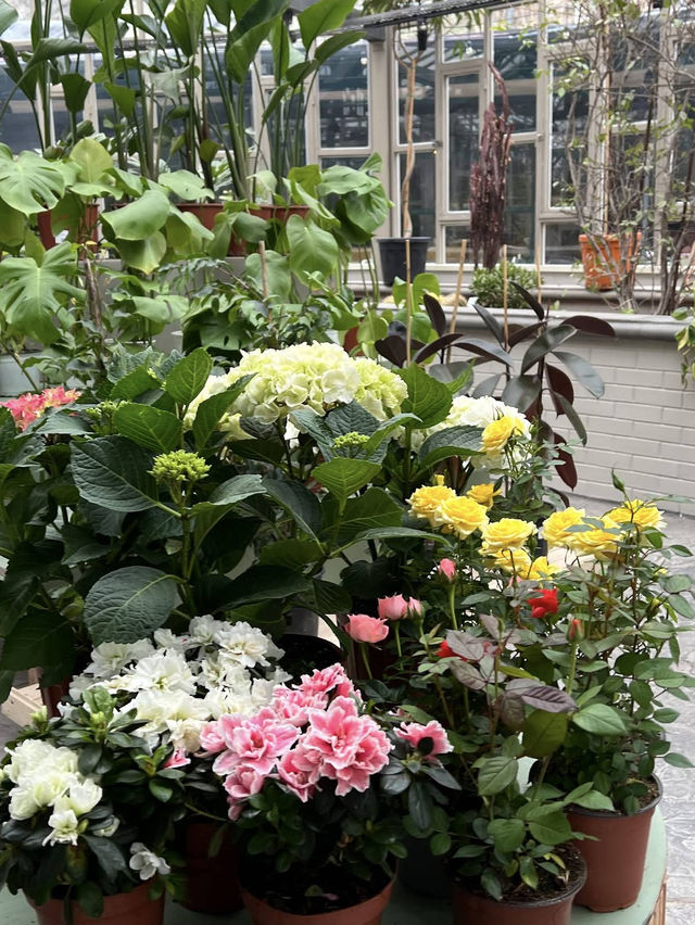 🍁 Botanical Park – Autumn Among Architecture & Nature 🏛️🌿 🍁 Botanical Park – Autumn Among Architecture & Nature 🏛️🌿