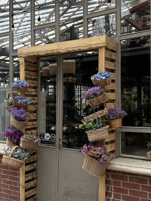 🍁 Botanical Park – Autumn Among Architecture & Nature 🏛️🌿 🍁 Botanical Park – Autumn Among Architecture & Nature 🏛️🌿