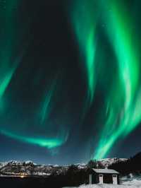 🌌 Chasing the Northern Lights — A Night Under the Whispering Sky