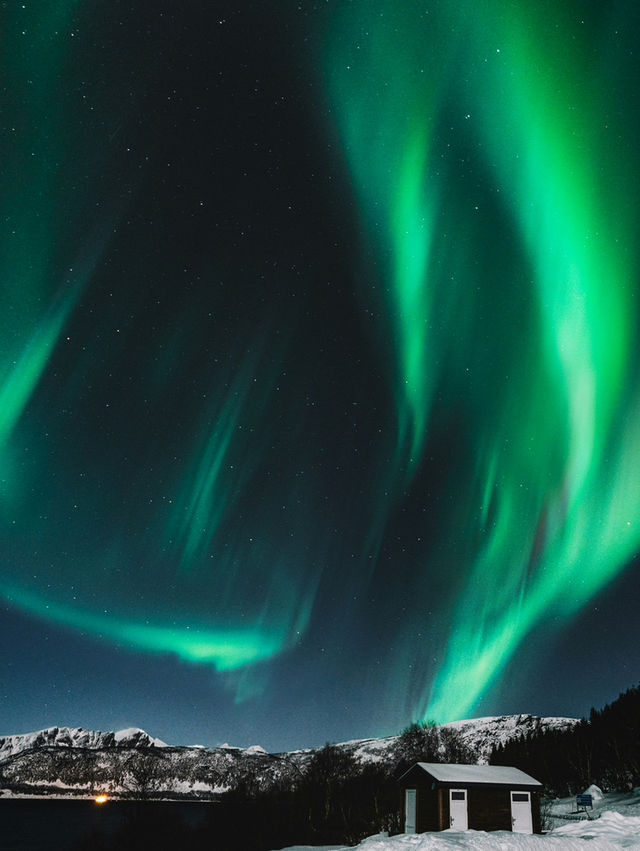 🌌 Chasing the Northern Lights — A Night Under the Whispering Sky