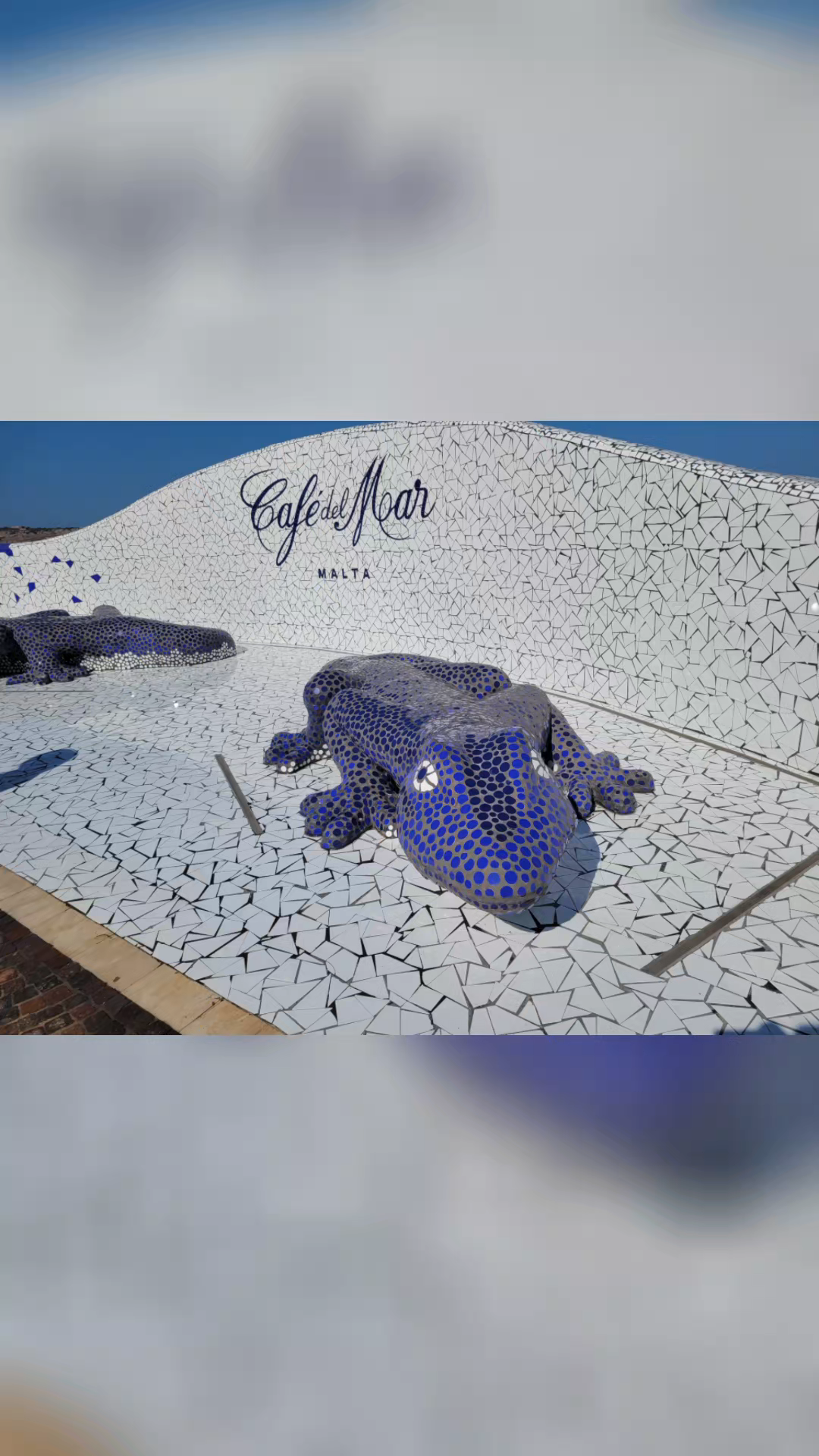 malta aqurium