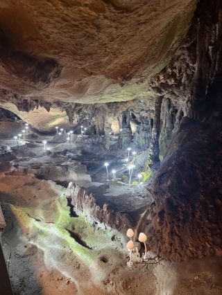 Discovering the Beauty of Silver Cave: A Captivating Journey