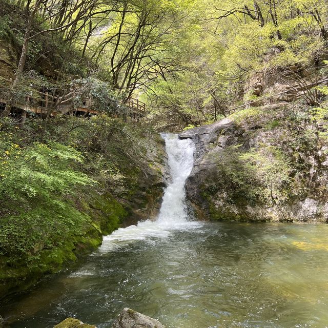 Taiping National Forest Park 