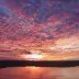 yavana_0820