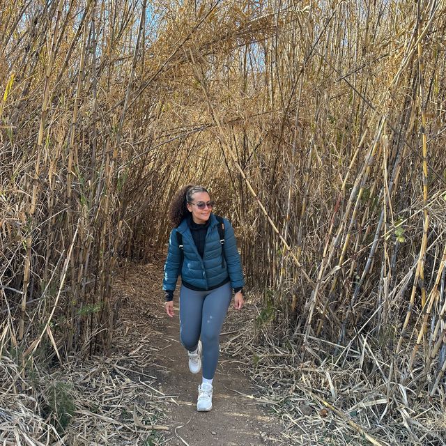 A Walk on the Wild-side (Cradle Moon, SA)