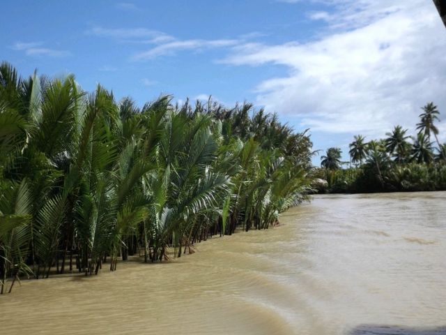 A MUST Cruise Along Loboc River! 🇵🇭