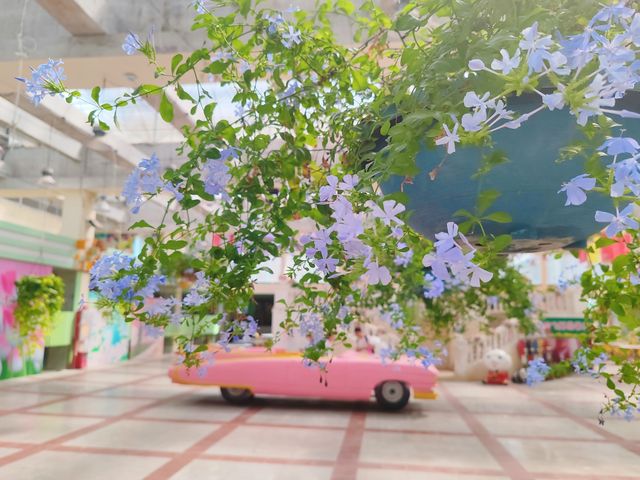 百萬葵園的秋櫻節