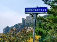 羅山，你的美內斂，聰穎