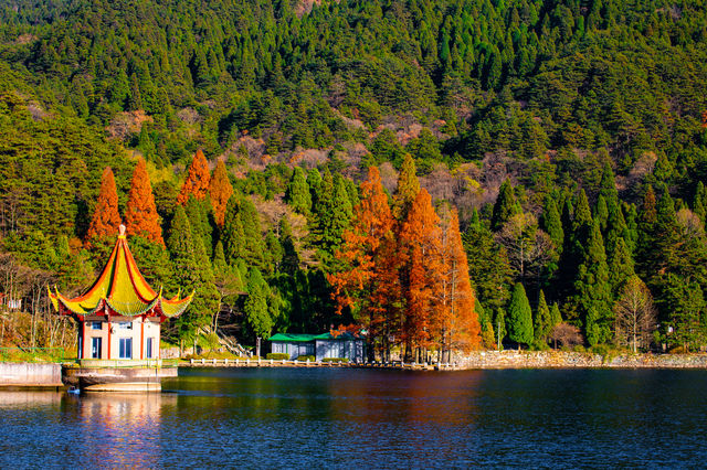 庐山歸來不看秋！我拍的30幅高清紅葉美景