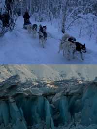 美國北極村｜7天6夜的極地探險之旅