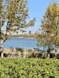 深秋的明月湖國家濕地公園令人心情氣爽