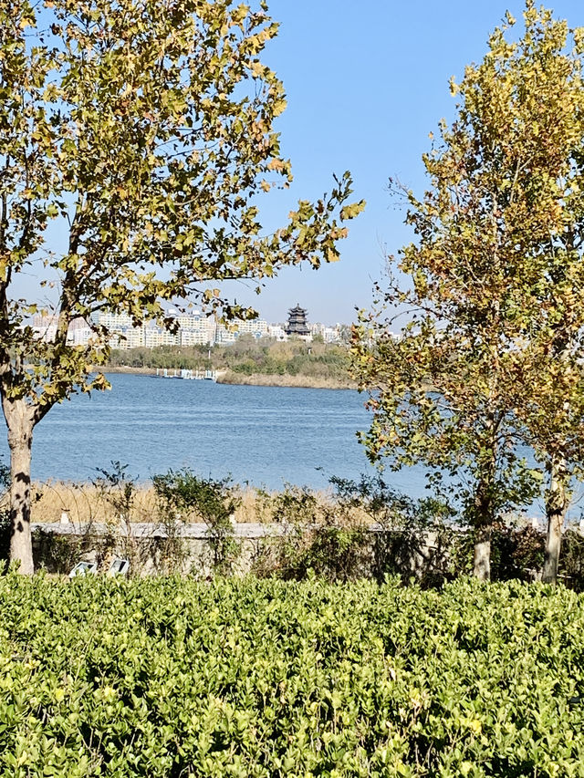 深秋的明月湖國家濕地公園令人心情氣爽