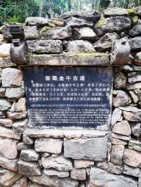 金牛古道西風烈