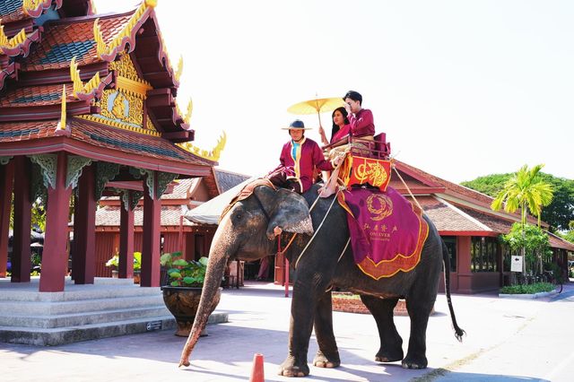 泰國旅遊•i人的天堂，一票通玩簡直不要太爽！