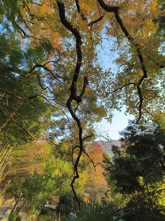 又見塔川