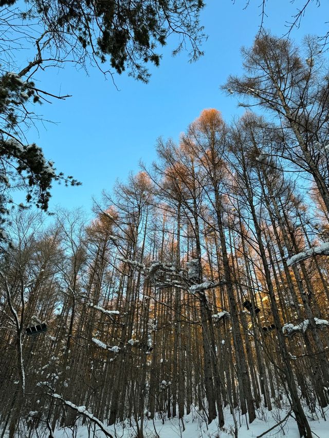 牡丹江｜北山公園｜冬天的北山