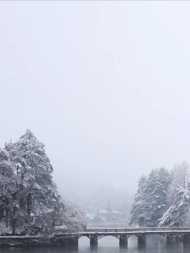 這個冬天總要來看看廬山的雪