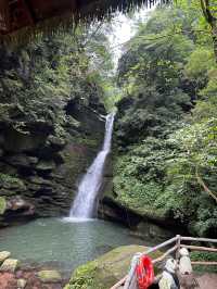 雅安碧峰峽值得一去（附上攻略）