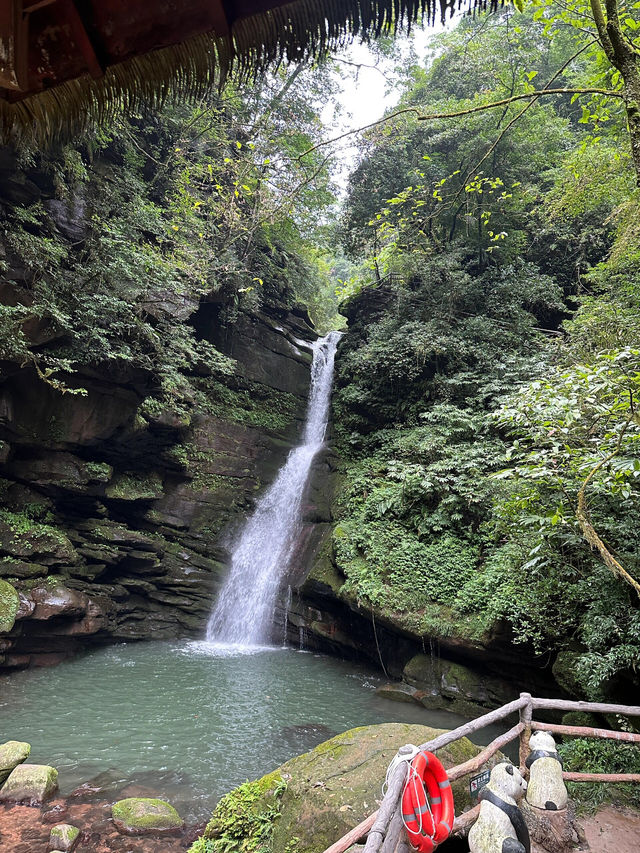 雅安碧峰峽值得一去（附上攻略）