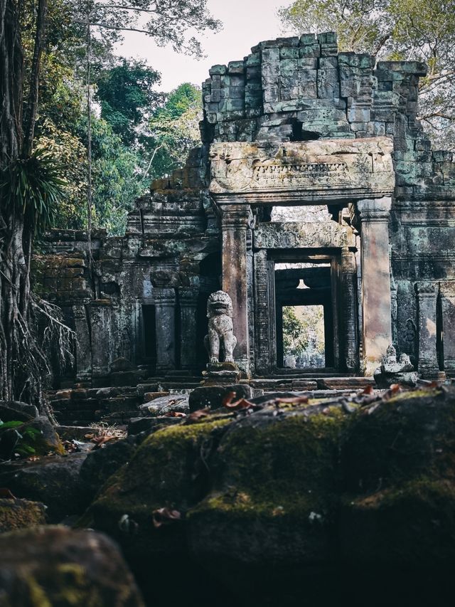 柬埔寨｜“如果有多張船票，你會不會跟我走？”