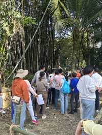 賀啟新歲·齊聚大園樂團圓慶新春