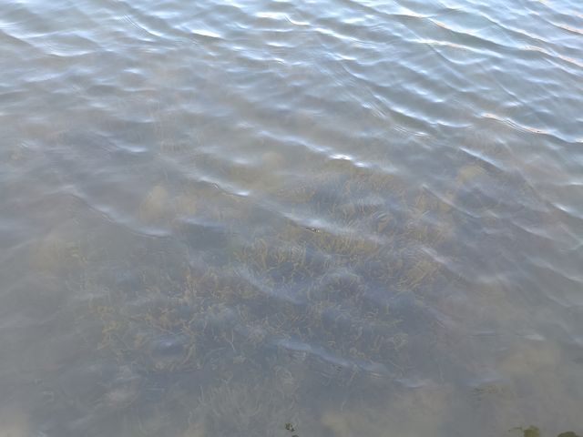 閔行體育公園