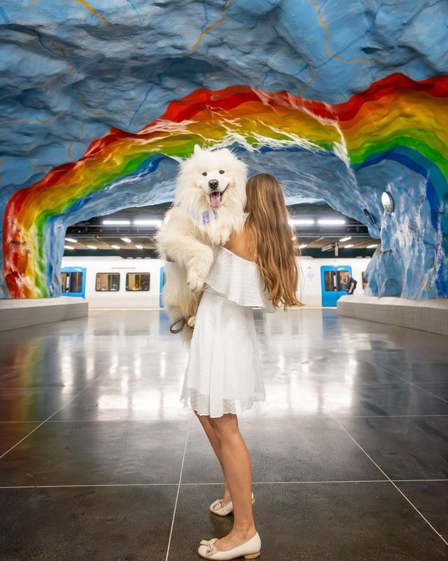 😍🇸🇪 Have you ever seen such vibrant metro stations before? Share your favorite city for unique urban art experiences! 🌍✨