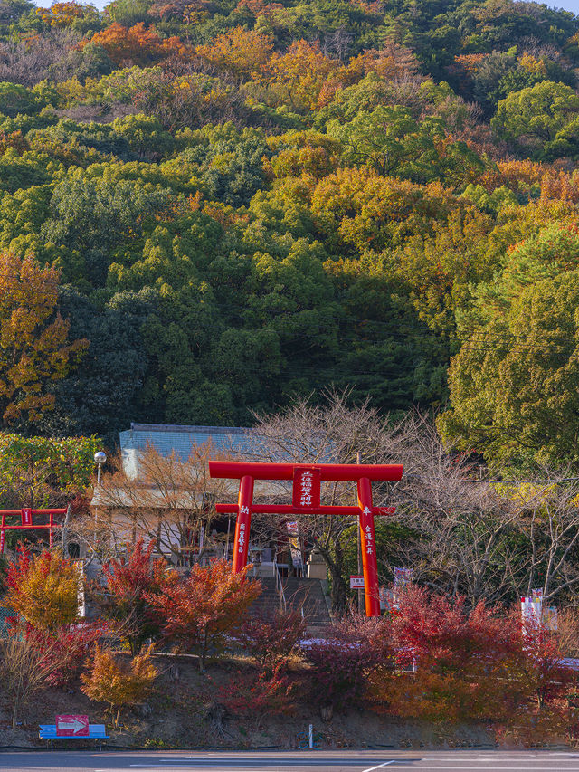 高松旅行善通寺