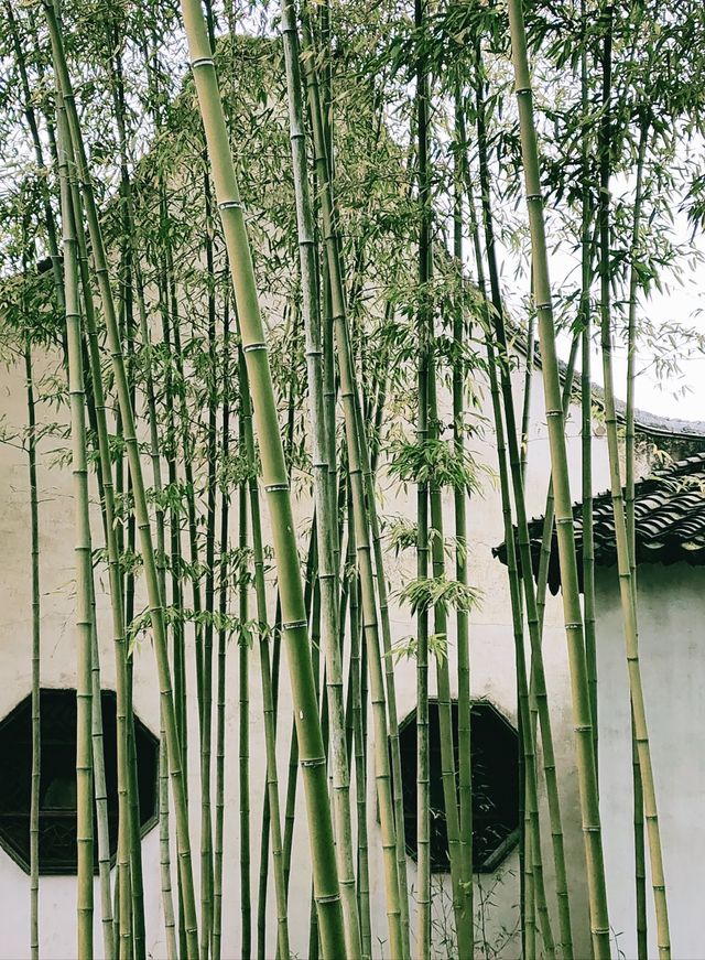 以假山園林取勝的小眾景點～滄浪亭