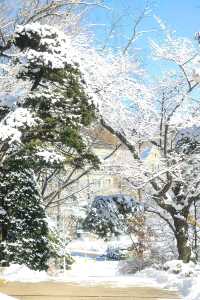 首爾旅行｜白雪覆蓋下的梨花女子大學